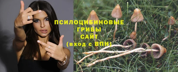 мяу мяу кристалл Магас