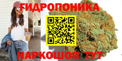 ГАЛЛЮЦИНОГЕННЫЕ ГРИБЫ Изобильный