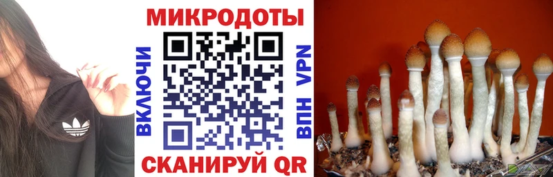 ОМГ ОМГ ссылка  Шали  Псилоцибиновые грибы ЛСД 