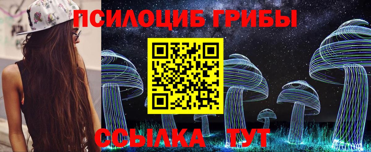 Псилоцибиновые грибы Psilocybine cubensis Шали