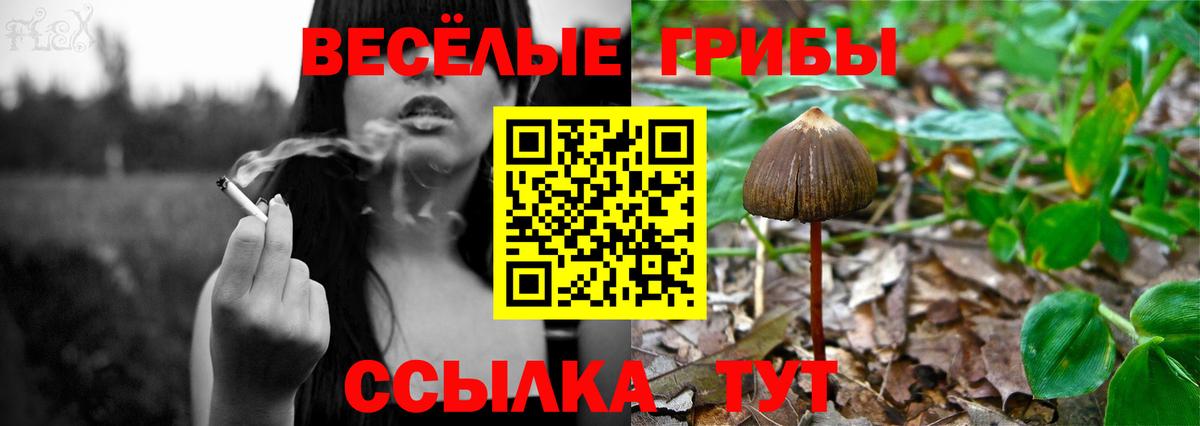 Шали  Галлюциногенные грибы мухоморы  Вход с VPN  Галлюциногенные грибы Magic Shrooms 